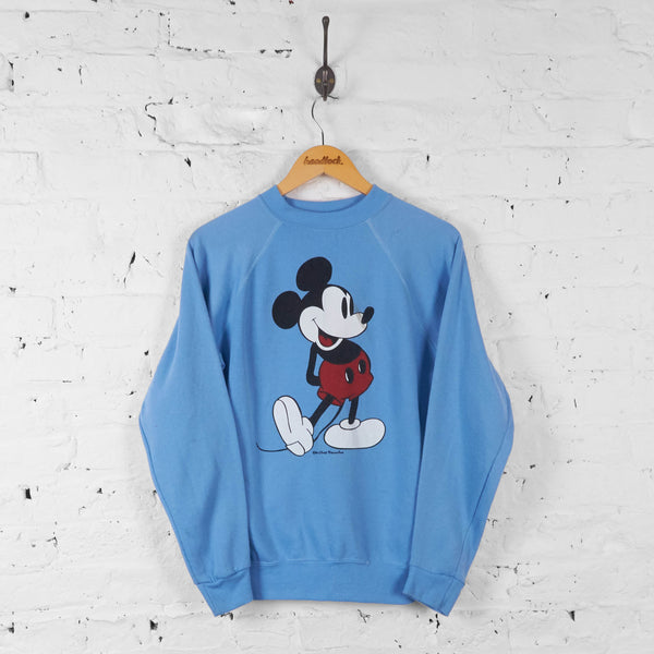 Blue disneyland clearance sweatshirt